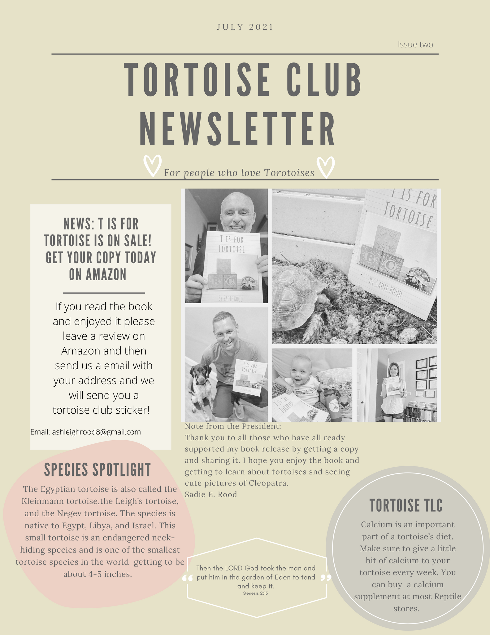 Tortoise Club Newsletter Issue Two July 2021