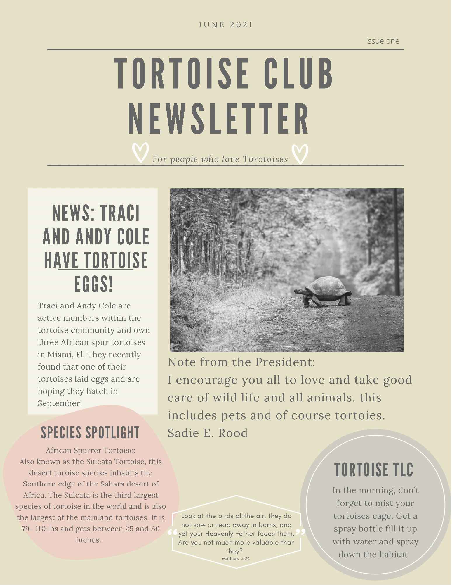 Tortoise Club Newsletter Issue One June 2021