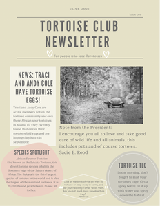 Tortoise Club Newsletter Issue One June 2021